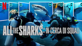 All the Sharks: in cerca di squali